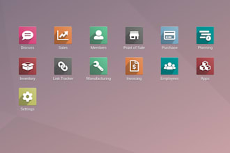 implement odoo erp, modules, custom reports,