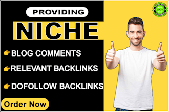 provide manual crowd blog comments backlinks