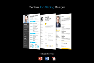 design executive, CEO, cfo and director resume