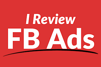 audit your facebook ads campaign on a zoom call