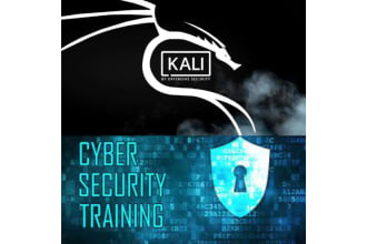 train you in cybersecurity using kali linux and windows