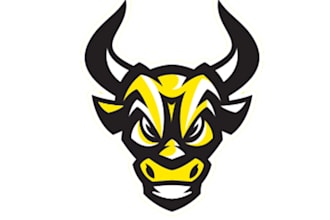 make eye catching  bull head logo design without any copyright concept