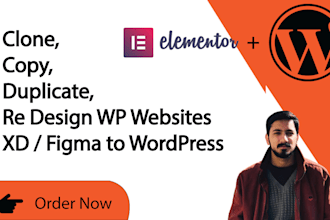 clone copy duplicate redesign wordpress websites