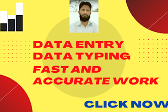freelance data entry in 12 hours
