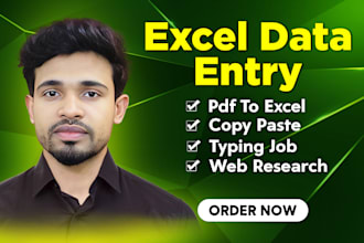 do excel data entry, convert pdf to excel, copy paste, typing, or web research