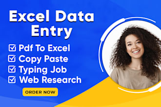 do excel data entry, convert pdf to excel, copy paste, typing, or web research