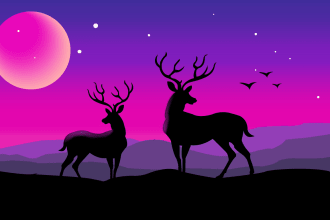 draw beautiful color and black and white landscape  line art for your photo