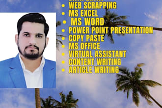 do web scraping, data entry, word, excel, PPT presentation,