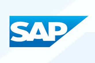 provide the implementation and support services of sap b1