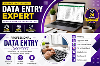 do data entry, copy paste, web research, excel, word and power point data entry