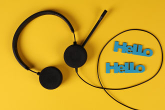 be your cold caller and appointment setter to get more sales