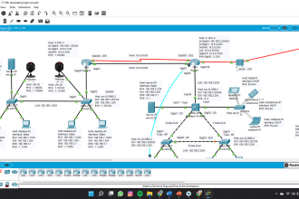 do cisco and networking projects for you