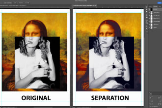 color separate any graphics for screen printing contact me first before purchase