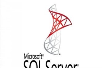provide database services for sql server