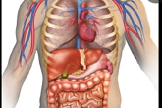 tutor anatomy, microbiology and physiology