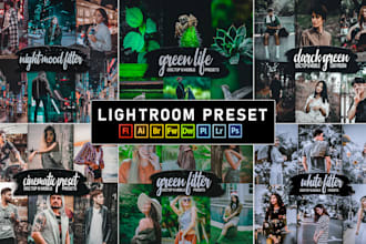 give you 60 professional lightroom filters for resale