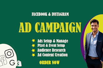 setup facebook and instagram ads campaign and awesome design
