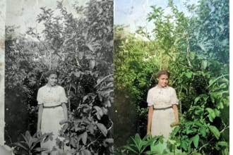 colorize your black and white photos