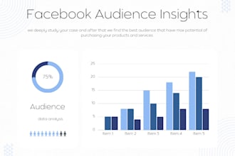 do laser perfect facebook ads audience targeting