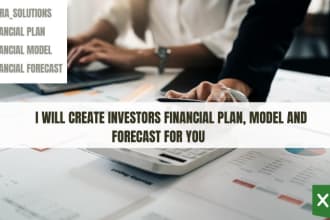 create investors financial plan, model and forecast for you