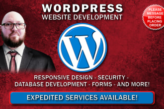develop a professional wordpress website