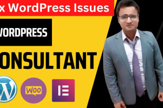 wordpress troubleshooting and optimization services