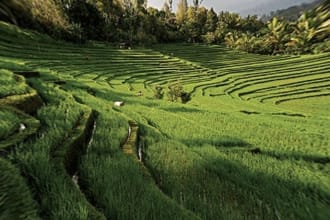 plan your trip to Indonesia