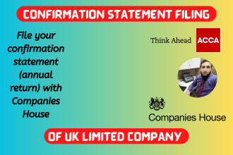 file confirmation statement for UK limited company