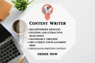 write attractive SEO blog posts and articles