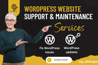 provide monthly wordpress maintenance, support and tech help