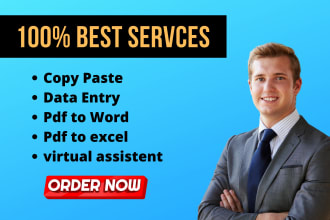 do fastest data entry, copy paste, edit on excel and ms word, virtual assistant