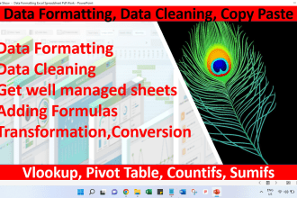 do data formatting, data cleaning, excel, google sheet work
