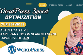 optimize and speed up your wordpress