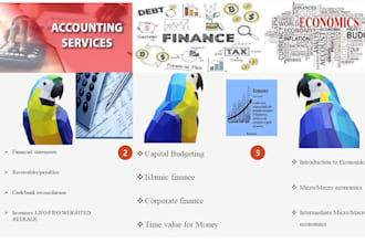 do accounting, finance and economics tasks