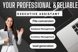 be your ultimate executive virtual assistance