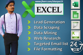 be your data miner, data scraper for business