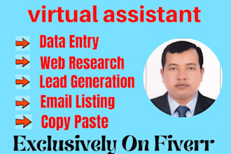 do data entry, copy pest, excel data entry and web research