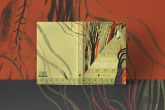 draw illustrative book cover design