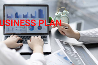 create an investor ready business plan as well as a financial plan