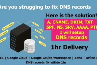 setup or fix any dns records within 1hr like cname, mx, txt