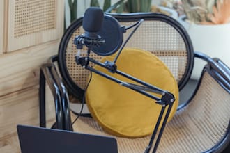 do video, audio, podcasts and interview transcription