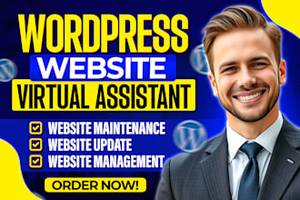 be your wordpress virtual assistant, provide website maintenance, help, support