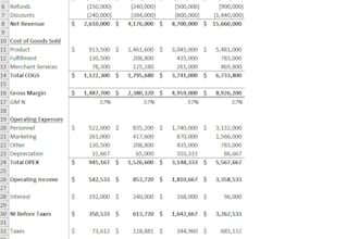 do a financial plan, revenue projections, forecasting