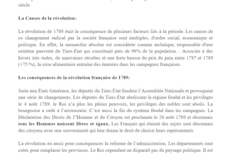 translate french documents and create subtitles for videos