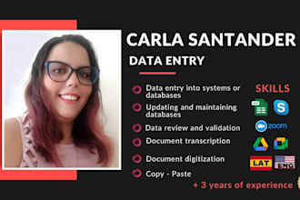 do data entry, web research or any copy and paste work