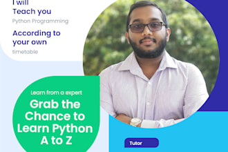 tutor and teach python to beginners at any age