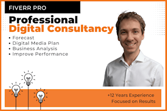 develop a digital media plan with business consultancy