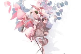 design book cover , album cover, cover photo