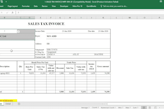 be your data entry operator and invoice maker