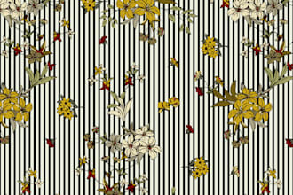 create geometrical abstract and floral designs and patterns